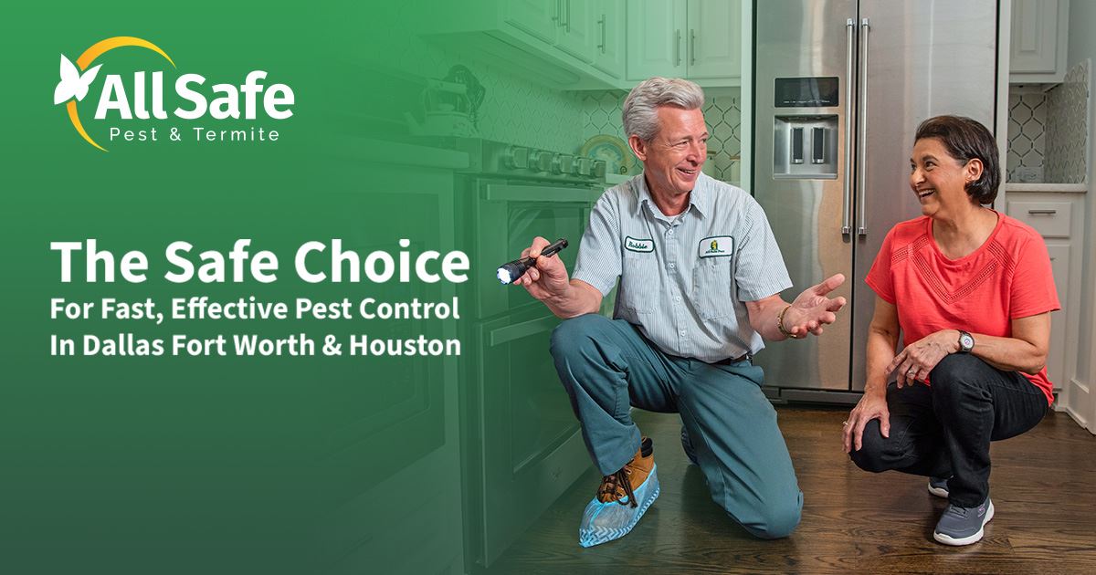 Pest Control in Dallas Houston TX All Safe Pest Termite