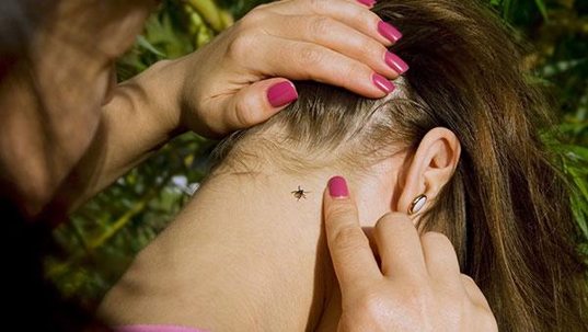 tick on girls neck