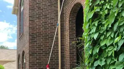 Pest Control Pros Photo