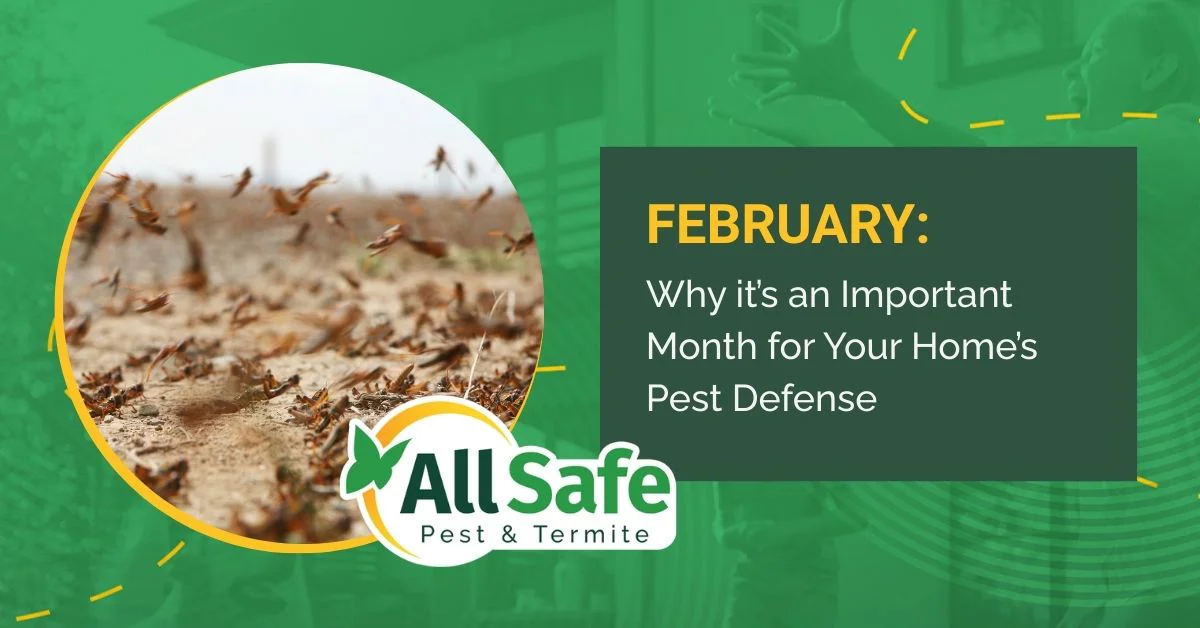 Why February is an Important Month for Your Home’s Pest Defense