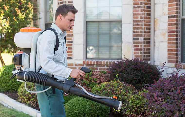 technician treating mosquitoes