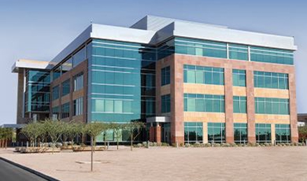 Commercial Pest Control